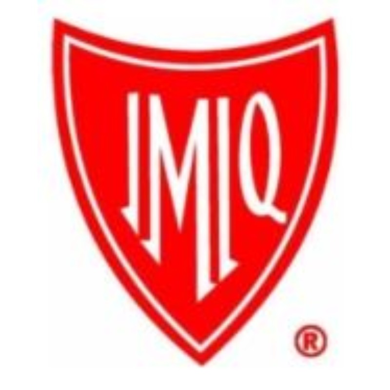 Instituto Mexicano De Ingenieros Quimicos